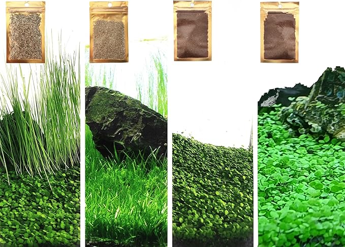 4 Pack Aquarium Plant S.e.e.ds, no Artificial Plastic Plant, Fish Tank Live Grass for All Substrate (0.36ozTiny+0.36oz Long+0.36oz Short+0.36oz Big Dual) ZQV-005