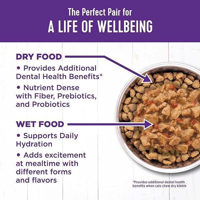 Wellness Complete Health Gravy & Minced Adult Wet Cat Food, Natural, Protein-Rich, Grain-Free, 3 Ounce, 24 Pack, (Chicken & Turkey Lovers Variety Pack)