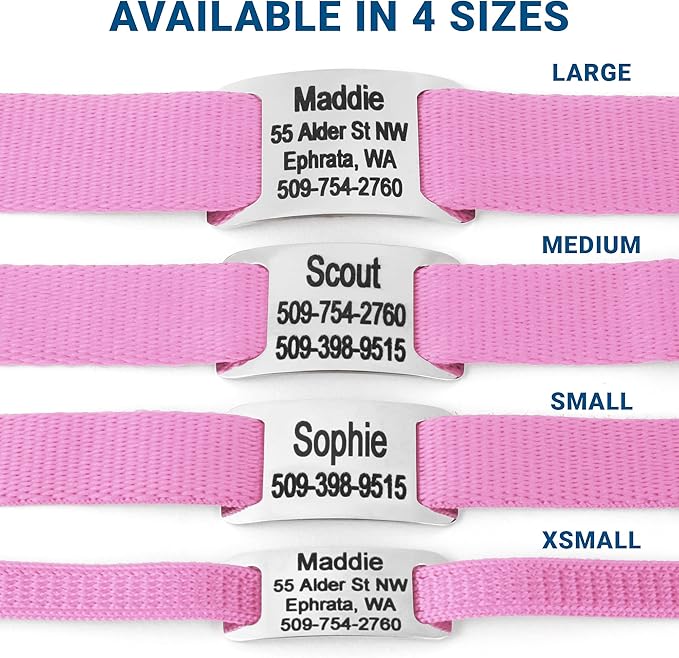 GoTags Personalized Dog Collar with Nameplate, Adjustable Dog Collar with Custom Engraved Slide On Pet ID Tag in Stainless Steel, Silent, No Noise Dog Tag for Large Medium and Small (Pink, Small)