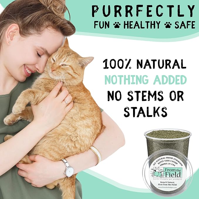 from The Field | Fine Ground Stalkless Catnip | Premium USA-Grown Catnip for Toys & Playtime | Fresh, Potent, Non-Toxic, Eco-Friendly | Safe for Kittens & Cats | Resealable 3 Oz Bag
