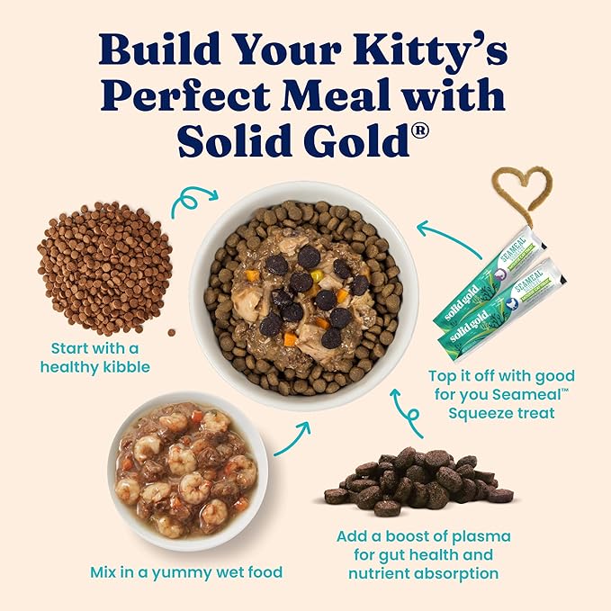Solid Gold Indoor Dry Cat Food - Grain Free & Gluten Free - Salmon Cat Food Dry Kibble for Indoor Cats w/Probiotics & Fiber for Gut Health - Sensitive Stomach & Hairball Support for Adult Cats - 3LB