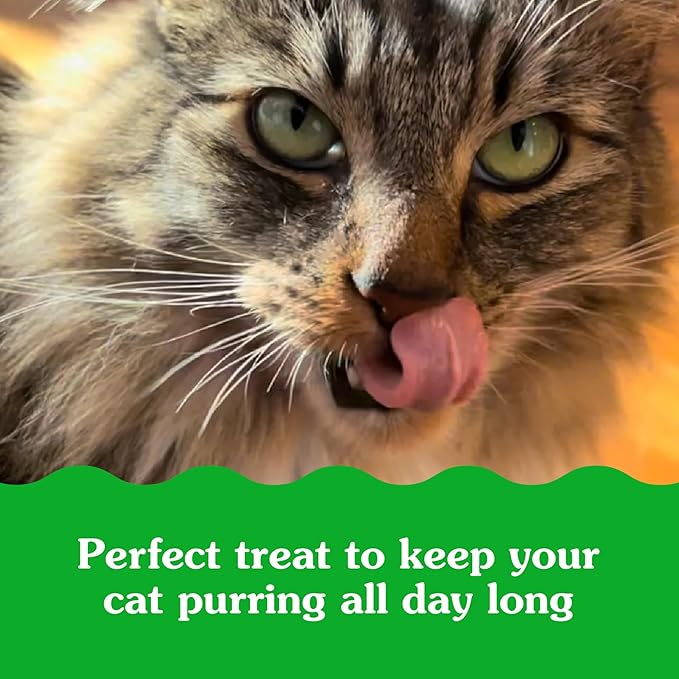 Greenies Feline Smartbites Skin & Fur Health Crunchy and Soft Cat Treats, Chicken Flavor, 16 oz. Tub