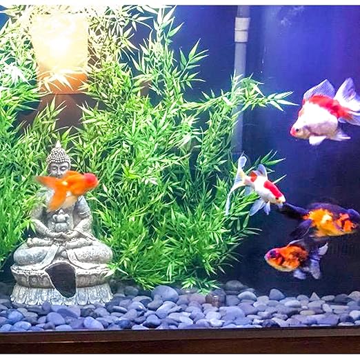 5 lbs Natural Mexican Beach Pebbles, 1-2 Inch Large River Rocks for Plants and Landscaping, Decorative Stone for Fish Tank Aquarium Fountain Garden Paving Walkways Pathways Backyard, Grey