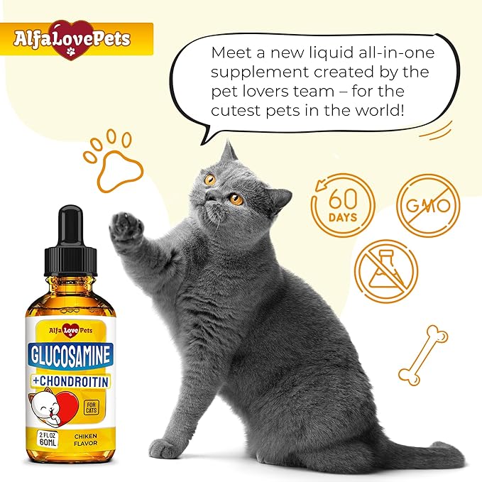 Cat Joint Supplement for All Breeds – Glucosamine for Cats and Kittens – Glucosamine, Chondroitin, MSM for Hip & Joint Care – Natural Ingredients with Chicken Flavor – 2 Oz
