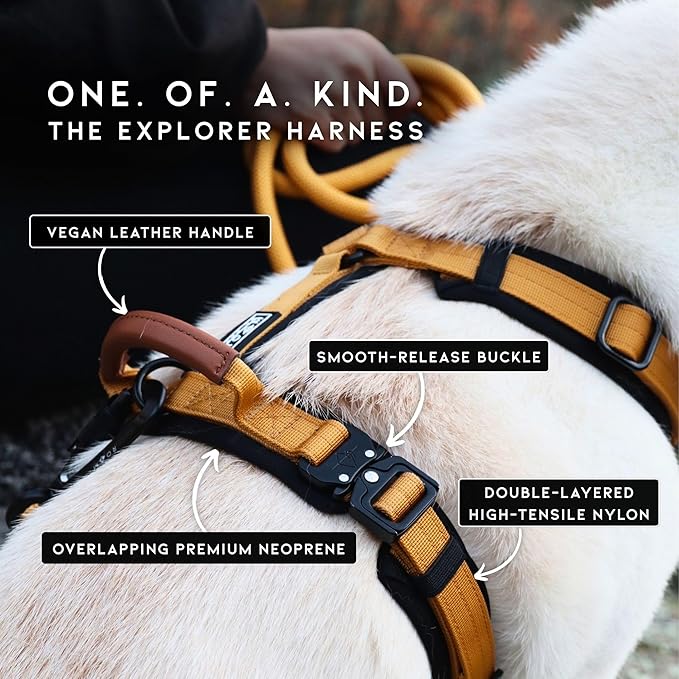 MADE TO ROAM Premium Explorer Harness - Y-Shaped Dog Harness with Adjustable Durable Nylon, Soft Padding, Metal Buckles and Leather Handle for Small, Medium, Large Dogs (Florida Seaside, Size 1)