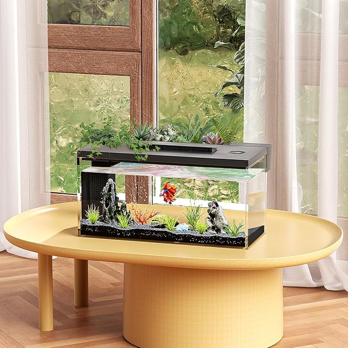 3.7 Gallon Betta Fish Tank self Cleaning,Smart Aquarium Aquarium kit with Filter Light Water Pump