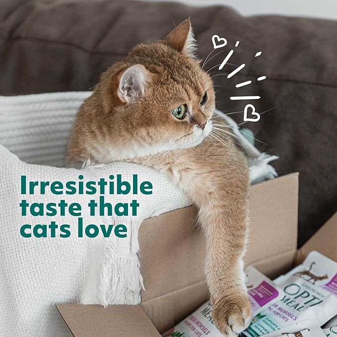 Optimeal Sensitive Stomach Dry Cat Food Recipe for Skin & Digestive Support, Premium Nutrition Made with Natural Ingredients for Adult Cats, Healthy Digestion (3.3 lbs, Salmon & Brown Rice)