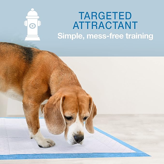 Four Paws Wee-Wee Odor Control with Febreze Freshness Pee Pads for Dogs & Puppies, Leak-Proof Dog Housebreaking Potty Training Floor Protection, Spring Fresh Scent, 28" x 30", 30 Count