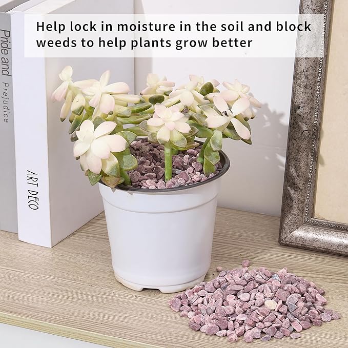 2lb Succulent and Cactus Gravel Pebbles 1/5-3/8 Inch Natural Decorative Polished Stones River Rocks for Plants, Vases, Aquariums, Terrarium and Outdoor Gardening, Rouge Red Color