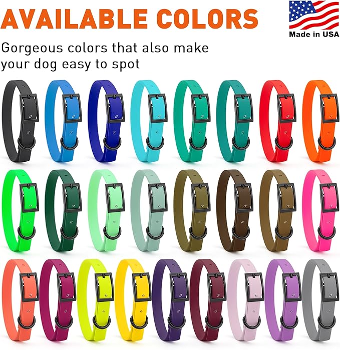Dogline Biothane Waterproof Dog Collar Strong Coated Nylon Webbing with Black Hardware Odor- Proof for Easy Care Easy to Clean High Performance Fits Small Medium or Large Dogs, Cerulean Blue