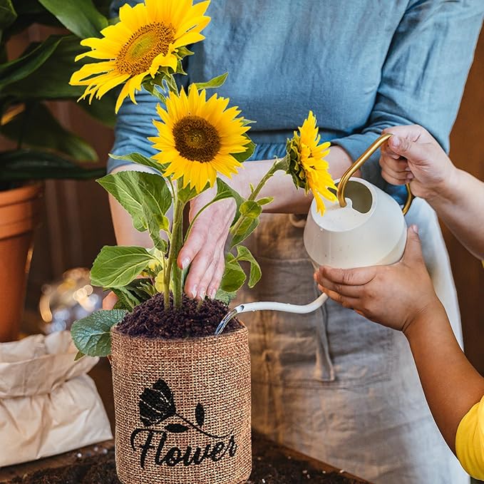 Indoor Daisy Garden Starter Kit, 4 Flower Seeds Growing into Shasta Daisy, Cornflower, Sunflower, Zinnia, Including Complete Gardening Tools, Christmas Gifts for Women Men & Beginners