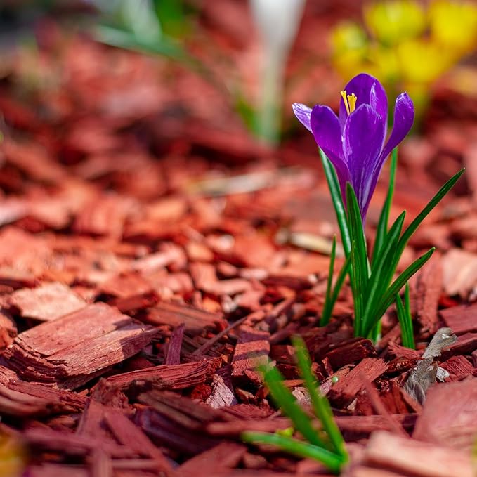 Premium Red Wood Mulch for Indoor, Patio, Potting Media, Gardens, Lawns, and Landscaping (2 CF - 56 L - 59 QTS)