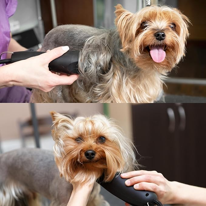 Detachable A Series 5/8 Blade Dog Grooming Cut Length 5/8" - 16mm Ideal for Large Trimming Areas Japanese Carbonized Steel Dog 16mm Replacement Blades | Compatible A5 Series(5/8HT)