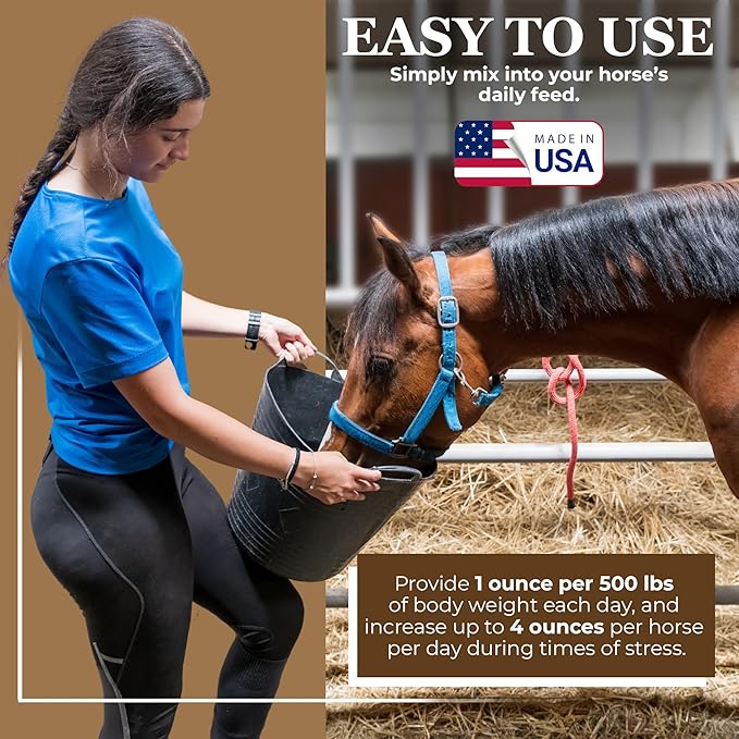 Equerry's Economy Equine Supplement - Horse Probiotics | Supplement for Horses | Horse Vitamins and Minerals Supplement with Enzymes and Selenium, 10lb