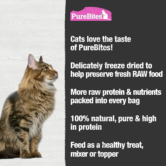 PureBites Salmon Freeze Dried Cat Treats, 0.92Oz | 26G - Value Size