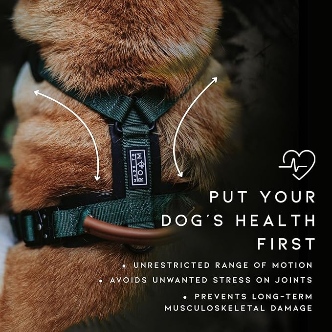 MADE TO ROAM Premium Explorer Harness - Y-Shaped Dog Harness with Adjustable Durable Nylon, Soft Padding, Metal Buckles and Leather Handle for Small, Medium, Large Dogs (Colorado Nightsky, Size 7)