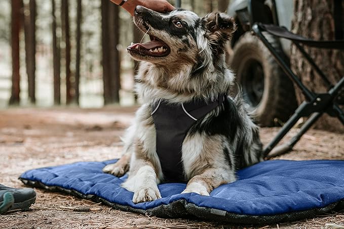 K9 Ballistics Tough Ripstop Dog Crate Pad - Durable & Machine Washable with Non-Skid Bottom and 120-Day Warranty, Fits 24" Wire Crates - X-Small, Blue Quartz
