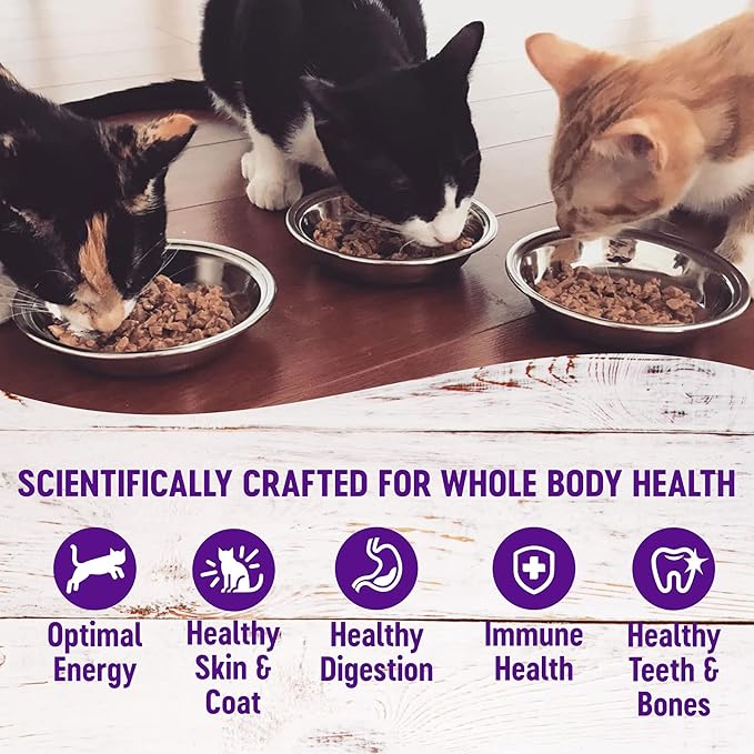 Wellness Healthly Indulgence Morsels Adult Wet Cat Food, Natural, Protein-Rich, Grain Free, 3 Ounce Pouch, 24 Pack, (Chicken & Salmon)