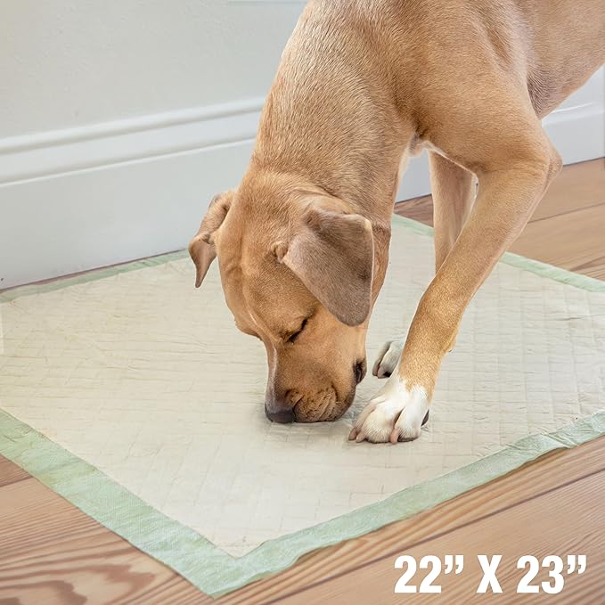 Four Paws Wee-Wee Superior Performance Bamboo Pee Pads for Dogs, Earth Friendly Dog & Puppy Potty Training Pads, Crate Liners, Housebreaking Supplies, 22" x 23" (50 Count)