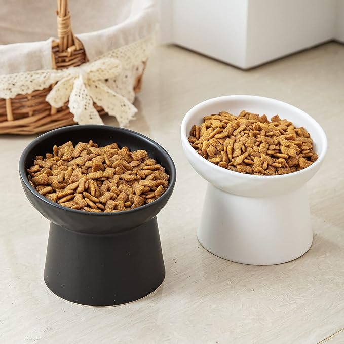 Ceramic Raised Cat Bowls, Elevated Tilted Cat Food and Water Bowls Set, Porcelain Stress Free Pet Feeder Dish for Cats and Small Dogs, Dishwasher and Microwave Safe, Set of 2(Black)