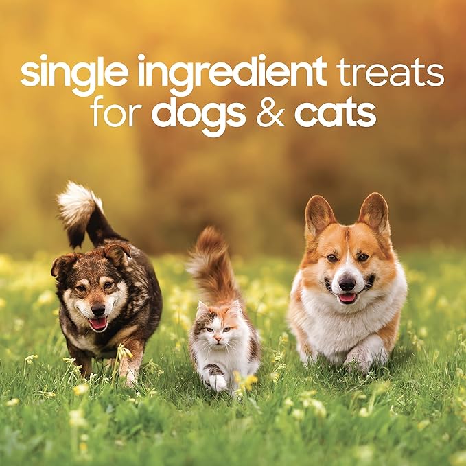 smallbatch Pets Premium Freeze-Dried Pork Heart Treats for Dogs and Cats, 3.5 oz, Made and Sourced in The USA, Single Ingredient, Humanely Raise Meat, No Preservatives or Anything Artificial