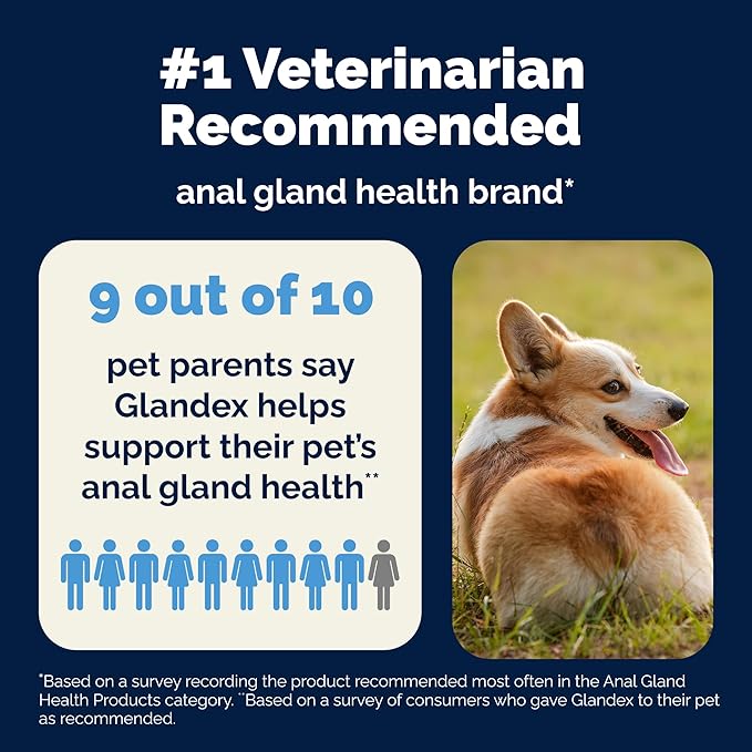 Glandex Dog Fiber Supplement Powder for Anal Glands with Pumpkin, Digestive Enzymes & Probiotics - (Regular or Advanced Strength) - Boot The Scoot (8.5 oz, Advanced Strength Duck & Bacon)