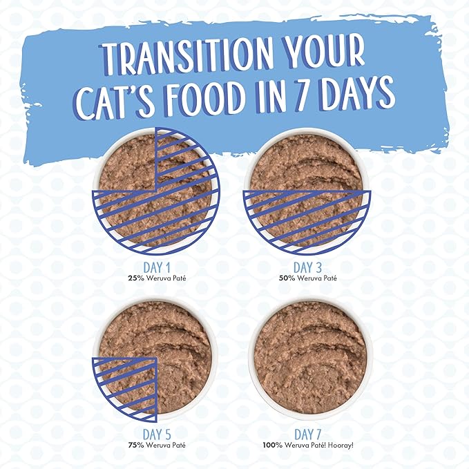 Weruva Wet Cat Food, Big Time Bonus Round Pate Variety Pack, 10oz Can, Pack of 12