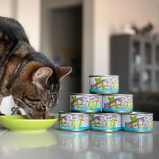 Weruva B.F.F. OMG - Best Feline Friend Oh My Gravy! Grain-Free Wet Cat Food Cans, Crazy 4 U! Chicken & Salmon, 5.5-Ounce Can (Pack of 8)
