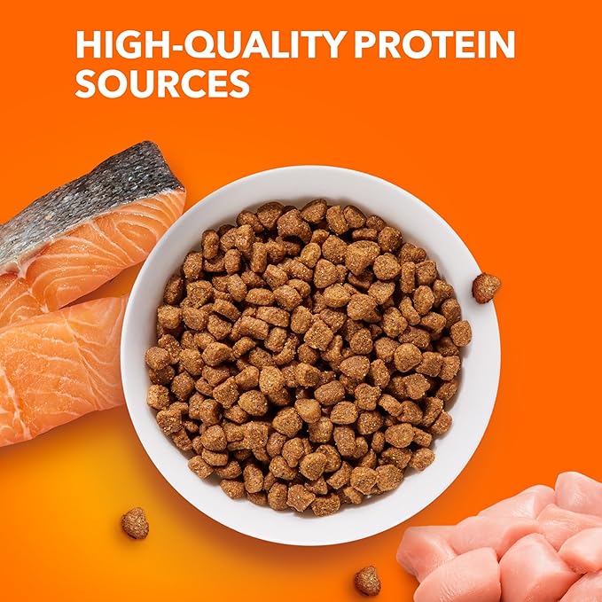 IAMS Proactive Health Adult Healthy Dry Cat Food with Real Salmon, 3.5 lb. Bag