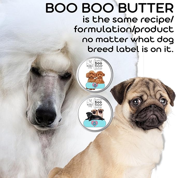 The Blissful Dog .15 oz Tube Japanese Chin Booboo Butter
