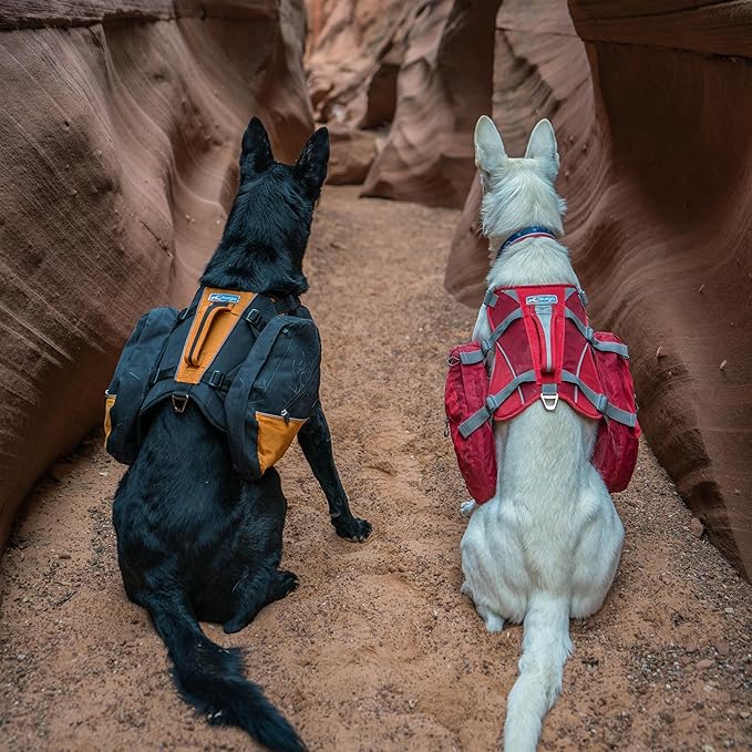 Kurgo Big Baxter Dog Backpack, Dog Saddlebag, Dog Pack, Adjustable Saddlebag for Hiking, Walking, Running, Camping, Black/Orange