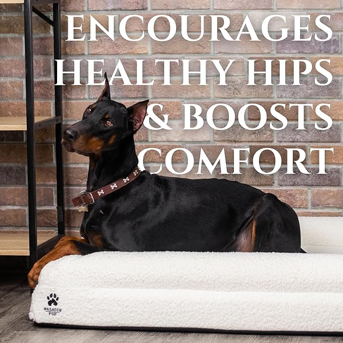Luxury Boucle Fabric Orthopedic Dog Bed with Memory Foam | Breathable Comfort and Washable Dog Couch Bed with Waterproof Liner & Cover | Ideal Pet Beds for Small Dogs - Bone (29"x23"x6")