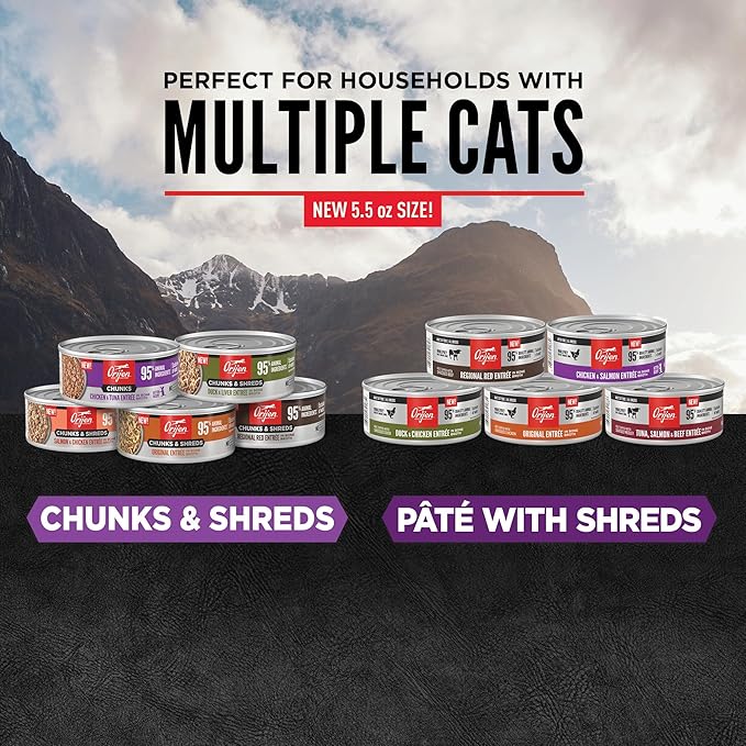 ORIJEN Premium Pate Wet Kitten Cat Food in Bone Broth Chicken & Salmon Entrée 5.5oz Cans (6 Count)