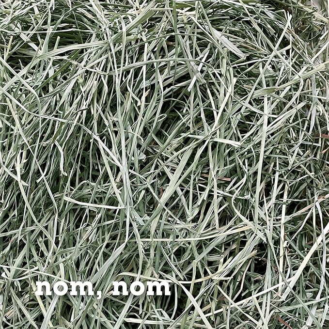 Orchard Grass Hay for Guinea Pigs, Rabbits, Hamsters & Small Pets by Bunny Honey - Fresh, High-Fiber, Supports Digestive Health & Dental Care, Non-Blended & Fresh Cut