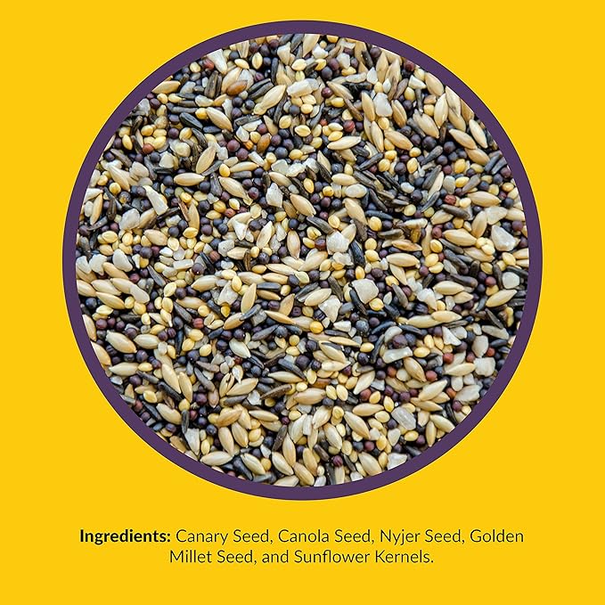 Lyric Fine Tunes No Waste Bird Seed 5 lb. Bag and Lyric Finch Small Songbird Wild Bird Food 5 lb. Bag for Outdoor Bird Feeders
