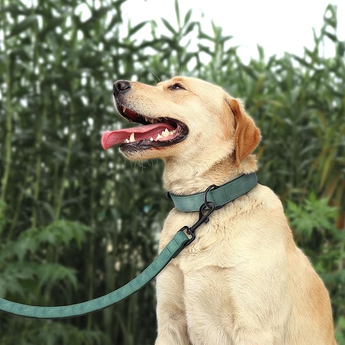 Didog Soft Padded Leather Dog Collar and Leash Set, Adjustable 4FT Faux Leather Dog Leash and Collar Set with Metal Buckle for Small Medium Large Dogs, Green, L