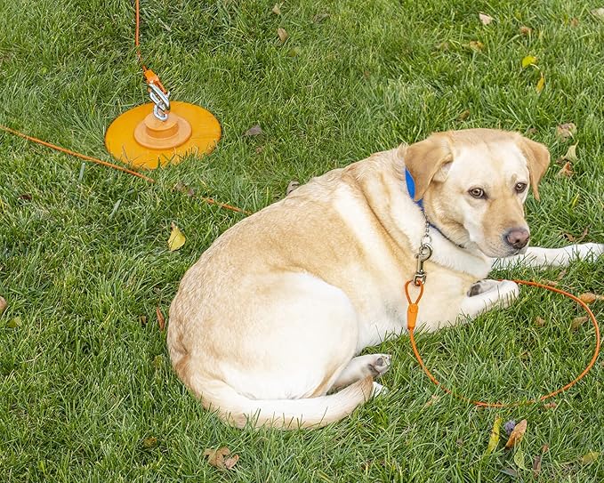 100FT Tie-Out Cables for Large Dogs - Strong, Safe, and Durable Dog Tie-Outs for up to 250 Pounds - Weather and Wear Resistant Galvanized Aircraft Cable for Outside Use