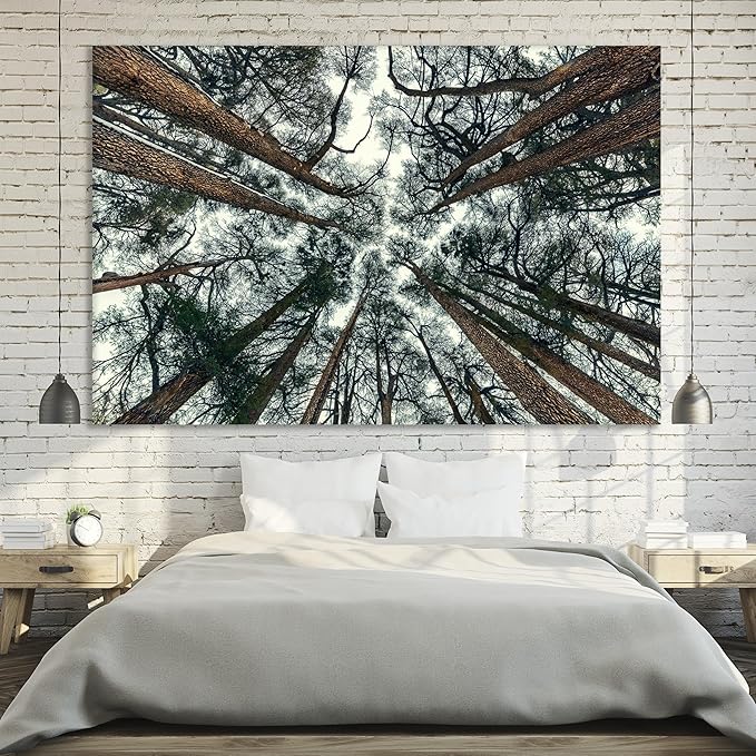 Nature Wall Art Prints - Ocean Forest Mountain Lake Canvas Landscapes - Small to Extra Large Living Room Bedroom Kitchen Bathroom Décor (Trees and Sky, 35L" x 53W")